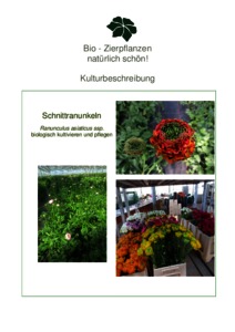 Organic Eprints Kulturbeschreibungen Bio Zierpflanzen (Geranien